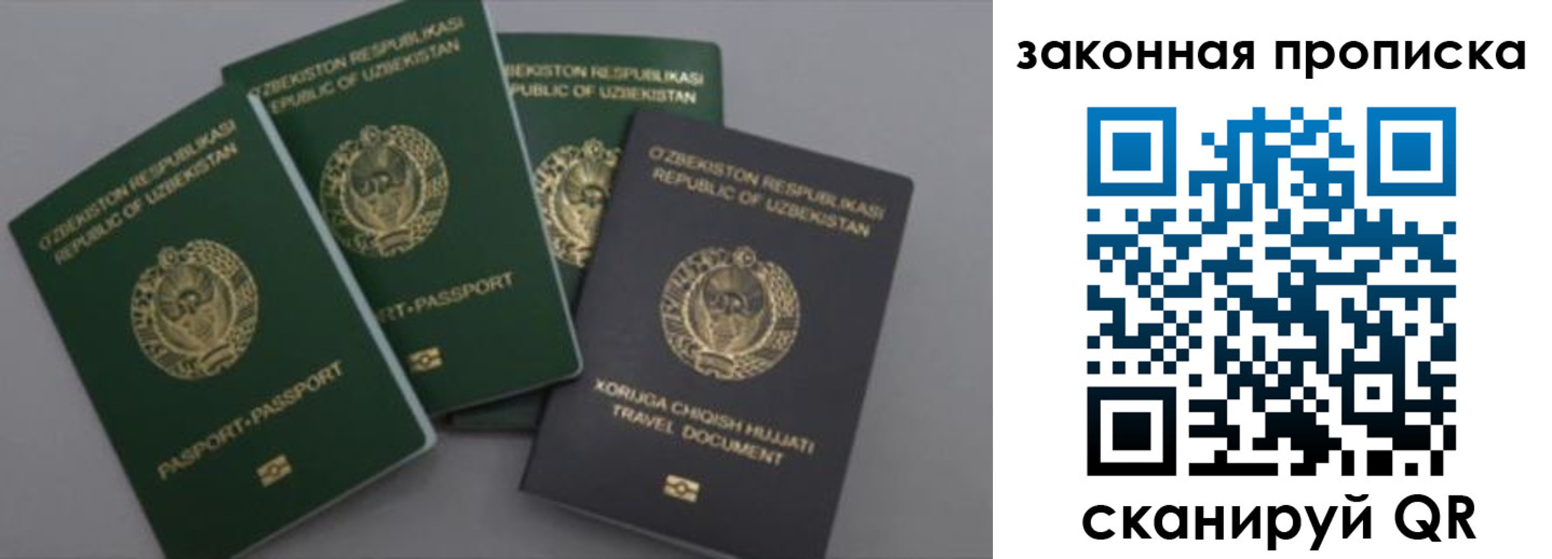 временная регистрация для школы в Тверской области